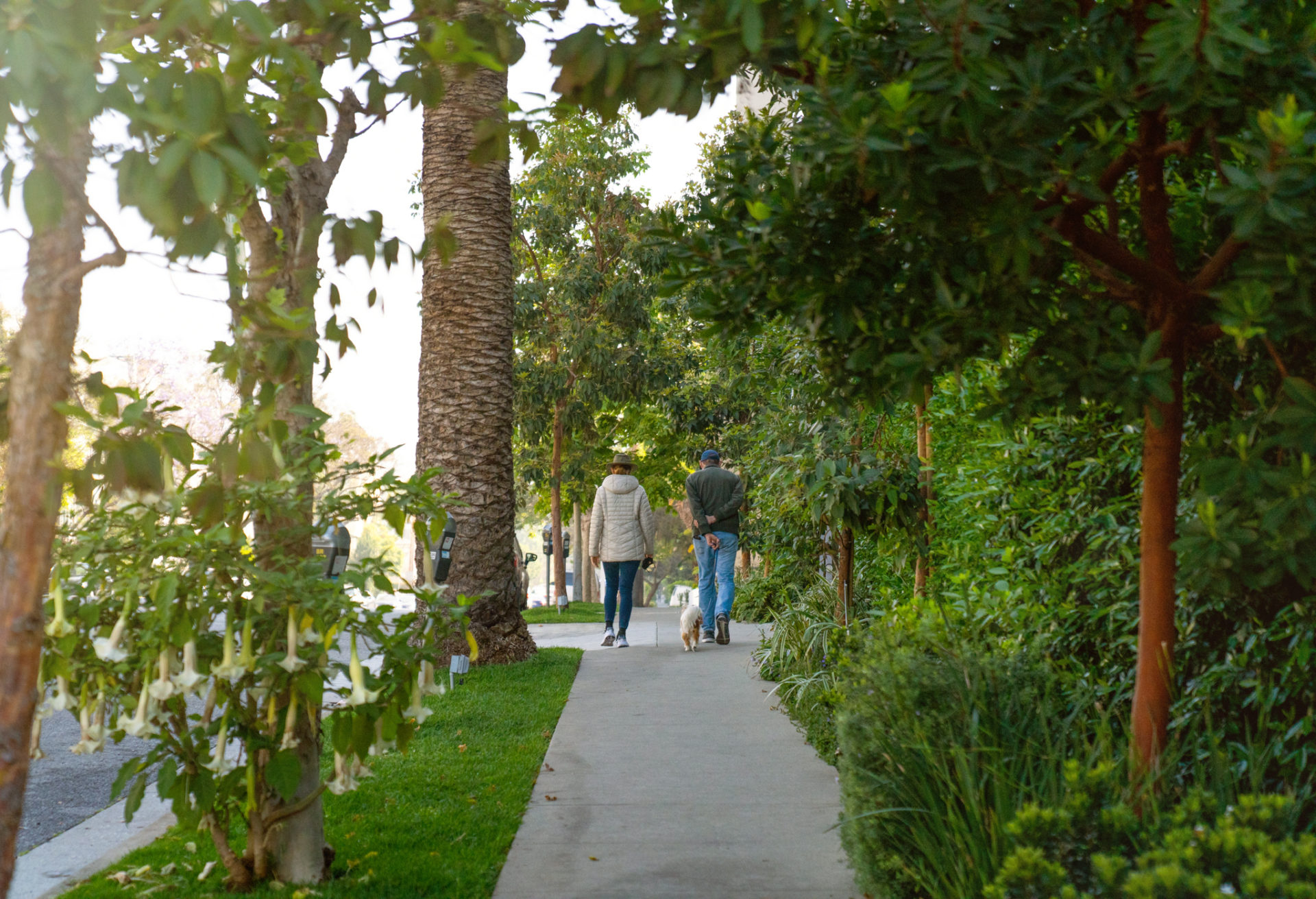 people walking down Brentwood neighbourhood sidewalk